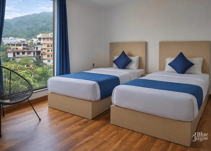 The Blue Jay Hostel - Dorms & Rooms